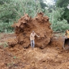 Ashley Collier Excavating gallery