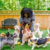Trinity Animal Hospital gallery