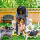 Trinity Animal Hospital