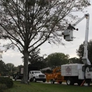 Quality  Tree Experts Inc - Tree Service