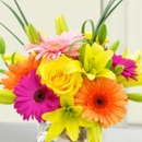 Beneva Flowers & Plantscapes - Flowers, Plants & Trees-Silk, Dried, Etc.-Retail