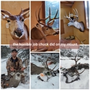 Chucks Taxidermy - Taxidermists