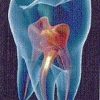 Temple Endodontics gallery