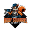 Roof Squirrel gallery