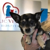Republic Veterinary Hospital gallery