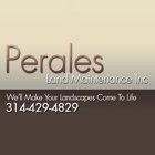 Perales Land Maintenance