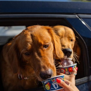 Dutch Bros Coffee - College Station, TX