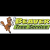 Beaver Tree Service Inc gallery