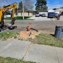 Timber Ridge Tree Service - Tree Service