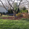 Carter's Lawn & Yard Services gallery