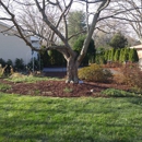 Carter's Lawn & Yard Services - Landscaping & Lawn Services