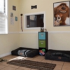 Perfect Harmony Pet Care gallery