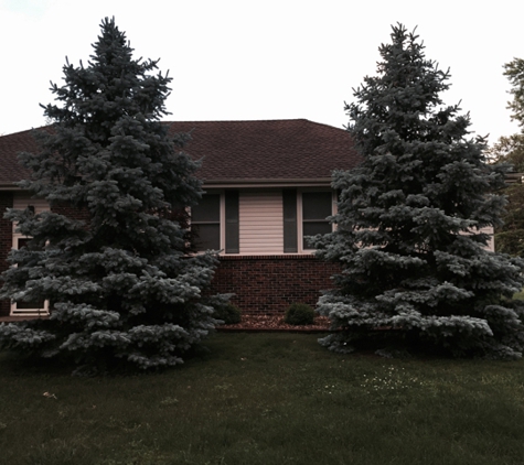 Del's Tree Service, LLC - Shawnee Mission, KS