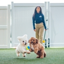 DogiZone - Pet Boarding & Kennels