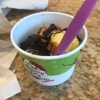 The Skinny Dip Frozen Yogurt Bar gallery