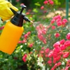 Robert Thieling Landscaping gallery
