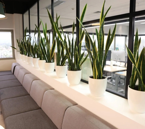 D&L Indoor Plant Hire & Garden Maintenance - Shell Cove, NSW