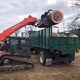 STL Tree Service, LLC