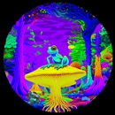 Divine Crystal Sanctuary - Candles