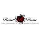 Rosa Rosa Flowers - Florists