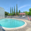 Sierra Pools Inc - Swimming Pool Equipment & Supplies