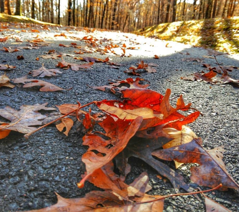 Montgomery Bell State Park - Burns, TN