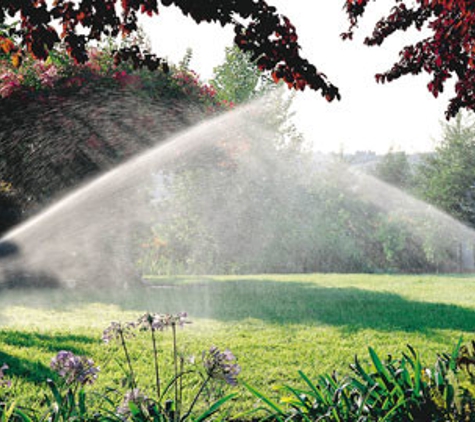 Orange Irrigation & Drainage - Winter Garden, FL