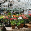 Michler's Florist, Greenhouses & Garden Design gallery