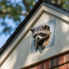 Paladin Pest Solutions gallery