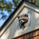 Paladin Pest Solutions - Pest Control Services