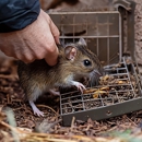 Amco Pest Services Inc - Pest Control Equipment & Supplies