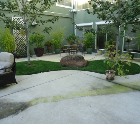 JERRE’S YARDS BEAUTIFUL/HANDYMAN SERVICE - Oakland, CA