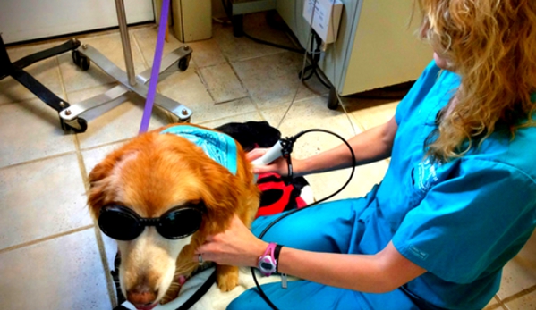 Tender Touch Veterinary Hospital - Wexford, PA. Class IV Companion Laser Therapy