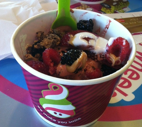 Menchie's Frozen Yogurt - Fairlawn, OH