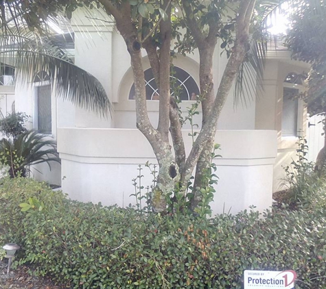 Advanced Pressure Washing LLC - Pensacola, FL