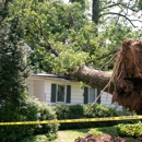 Probst Electric - Electricians
