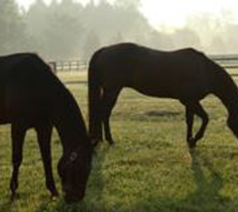 Equine Medical - Lowell, MI