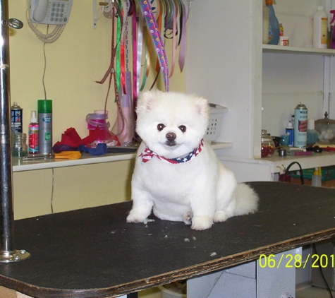 4 Paws Pet Grooming - Escanaba, MI