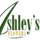 Ashley's Flowers - Detroit, MI Florist