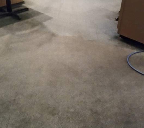 Magic Touch Carpet - Chesapeake, VA. I think you can tell what has been cleaned, and not.