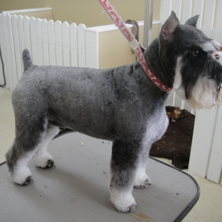 Lucky Dog Grooming - Fort Myers, FL