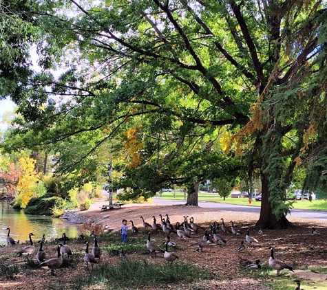 The Park at Idlewild - Reno, NV