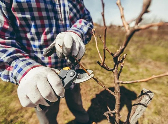 BioScapes Treecare Inc. - Union City, CA