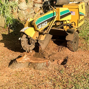 Walton's Tree Care Services - Woonona, NSW