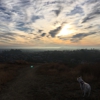 Ascot Hills Park gallery