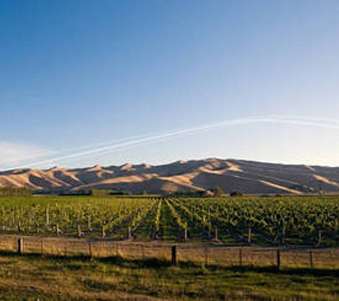Pernod Ricard Winemakers - Macquarie Park, NSW