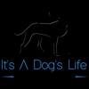 It's a Dog's Life gallery