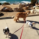 Del Mar Doggers dog walking, dog sitting, overnight stays - Pet Sitting & Exercising Services