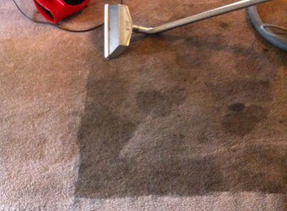 All Pro Carpet Cleaners