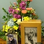 Harthaven Pet Cremation Services